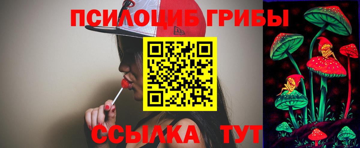 Галлюциногенные грибы Psilocybine cubensis  Псилоцибиновые грибы Psilocybine cubensis  Вход с VPN  Коркино 